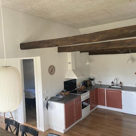 Baekgaarden 3 Rooms Apartment - Old Farm House Odense Esterno foto