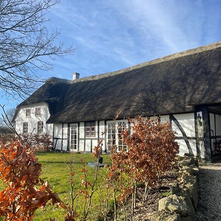 Baekgaarden 3 Rooms Apartment - Old Farm House Odense Esterno foto