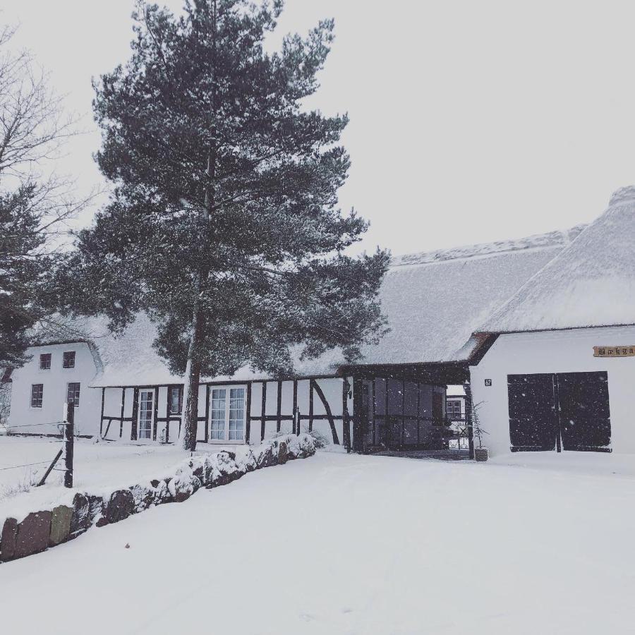 Baekgaarden 3 Rooms Apartment - Old Farm House Odense Esterno foto