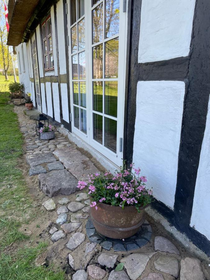 Baekgaarden 3 Rooms Apartment - Old Farm House Odense Esterno foto
