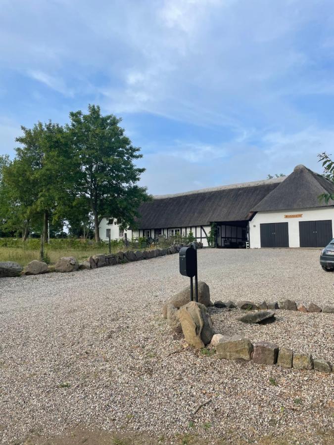 Baekgaarden 3 Rooms Apartment - Old Farm House Odense Esterno foto