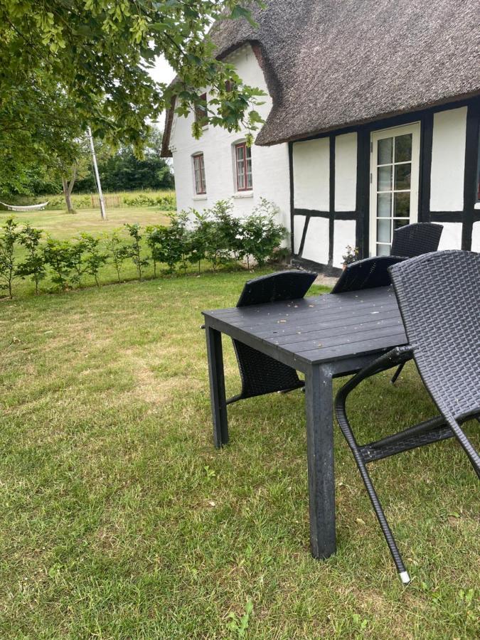 Baekgaarden 3 Rooms Apartment - Old Farm House Odense Esterno foto