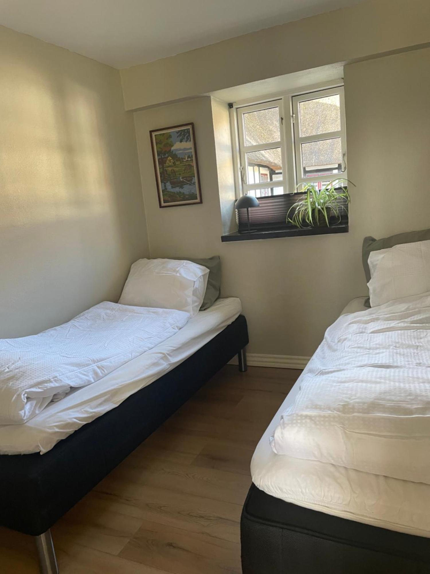 Baekgaarden 3 Rooms Apartment - Old Farm House Odense Esterno foto